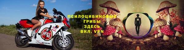 прущая мука Белокуриха