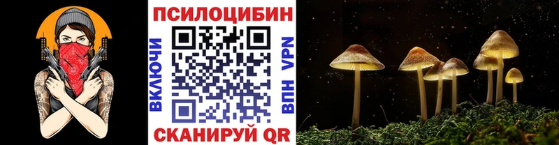 Галлюциногенные грибы Magic Shrooms  Купить закладки  Шимановск 
